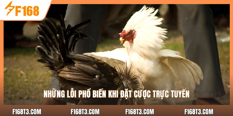 Những lỗi phổ biến khi đặt cược trực tuyến